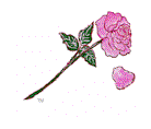 Rose3.gif (3098 bytes)